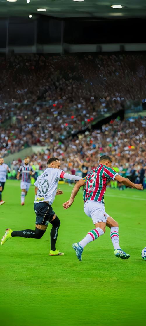 赛事为桥 拳动世界：在国际赛事中成长的贵州拳击（以赛为桥 拳跃全球：贵州拳击在国际舞台的成长）