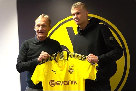 世界篮球五大最强国家分析（全球篮球五强国实力盘点）